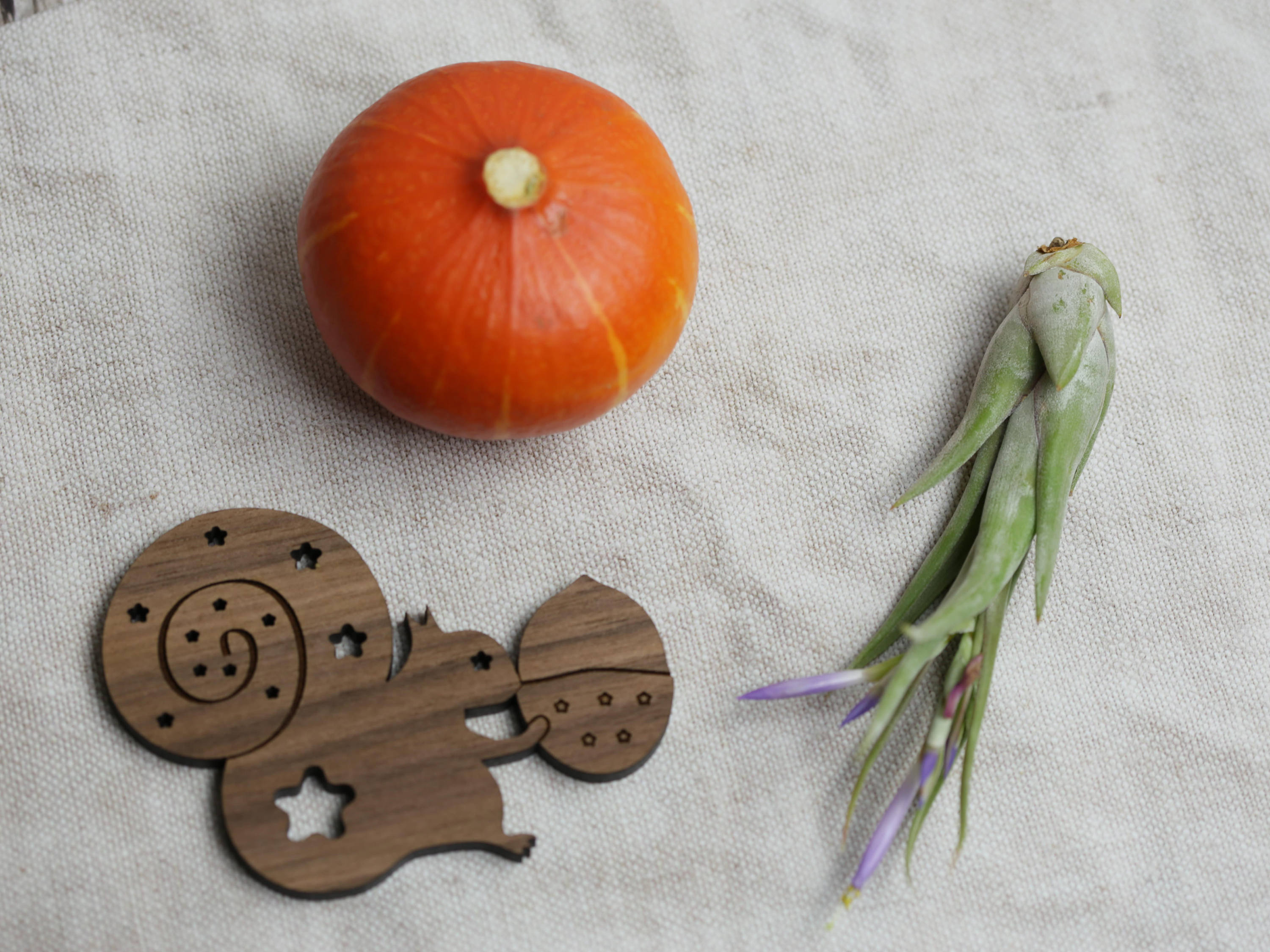 Squirrel coaster - wood coaster - housewarming gift - secret santa